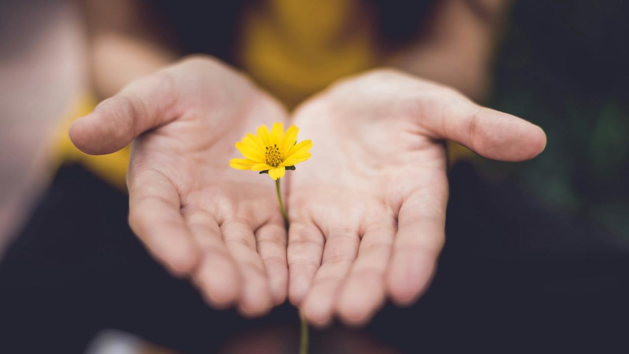 A woman holding a yellow-petalled flower